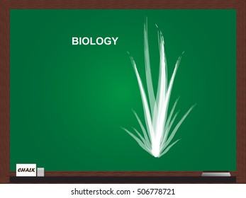 Blackboard with lessons about biology. Vector design.