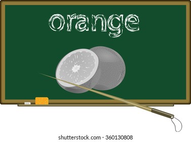 Blackboard . sponge, chalk, pointer. Draw an orange.Vector illustration .