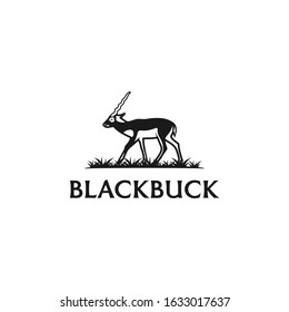 Blackbuck india animal. Blackbuck logo design. Silhouettes of blackbuck logotype.