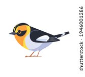 Blackburnian warbler is a small New World warbler. Setophaga fusca. Bird Cartoon flat style beautiful character of ornithology, vector illustration isolated on white background.
