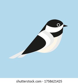 Black-capped chickadee Bird Flat Design Vector Illustration. Bird Logo