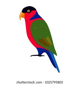 Black-capped lory parrot icon in flat style. Tricolored lorikeet. Australian exotic bird symbol on white background