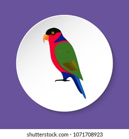 Black-capped lory parrot icon in flat style on round button. Tricolored lorikeet. Australian exotic bird symbol isolated.