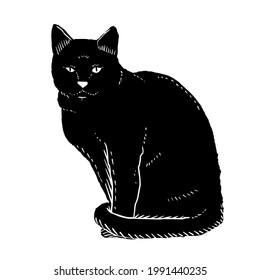 Ilustración de dibujo de mano vectorial Black-Cat-Sit en color negro aislado en fondo blanco