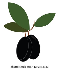 Black-colored cartoon olive with three oval-shaped dark-green leaves on a small branch vector color drawing or illustration 