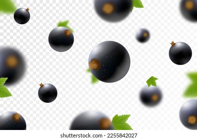 Blackcurrant background. Flying currant with green leaves on transparent background. Falling berries from different angles. Focused and blurry objects. Realistic 3d vector illustration