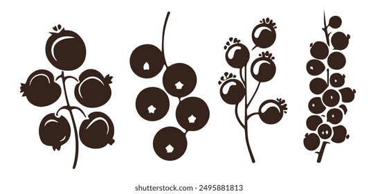 Blackcurrant Berries Isolated White Background