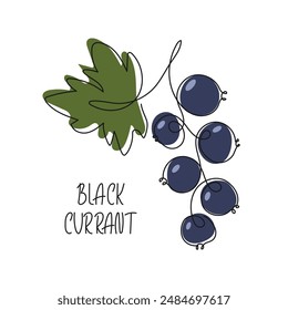 Blackcurrant branch Continuous Line drawn. Abstract Doodle food illustration. Healthy vitamin vegan Berry food. Ingredient for juice, smoothie, jam. Bunch of ripe black Currant isolated on white