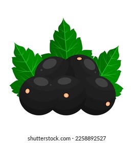 Blackcurrant Is A Fruit That Has A Fresh Sour And Sweet Taste. This Fruit Has Many Health Benefits