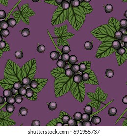 Blackcurrant with green stem and leaves on purple background. Seamless pattern. Vector illustration.