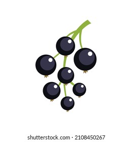 Blackcurrant icon. Flat illustration of blackcurrant vector icon isolated on white background