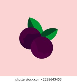 Blackcurrant icon logo design vector