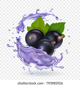 Blackcurrant juice splash. Forest berries smoothie. Vector realistic illustration