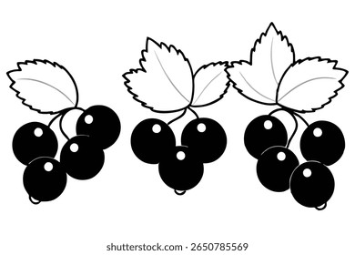 blackcurrant line art elegant vintage drawing of fruit and leaves