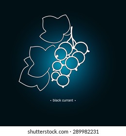 Blackcurrant on a Dark Purple Background, Line Style, Vector Illustration