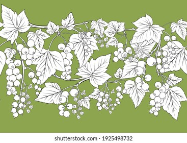 Blackcurrant red ribes. Ripe berries. Seamless pattern, background. Vector illustration. In botanical style on green background