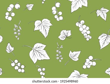 Blackcurrant red ribes. Ripe berries. Seamless pattern, background. Vector illustration. In botanical style on green background