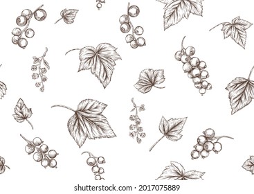 Blackcurrant, redcurrant. Ripe berries. Seamless pattern, background. Vector illustration.
