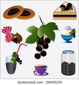 Blackcurrant. Set of applications of berry. Vector illustration.