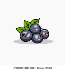 blackcurrant vector with color for all purpose