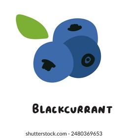 Blackcurrant. Vector design. Berry. Organic food. Healthy eating. Vector illustration on white background.