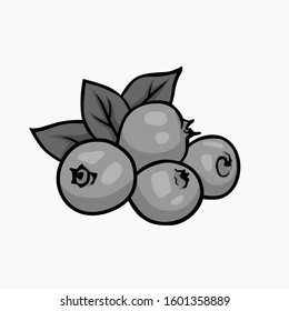 Blackcurrant Vector Greyscale mode for all purpose