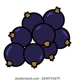 Blackcurrant vector illustration, simple design