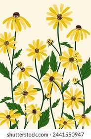 Black-eyed Susan flower background.Eps 10 vector. 