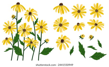 Black-eyed Susan flower background.Eps 10 vector. 