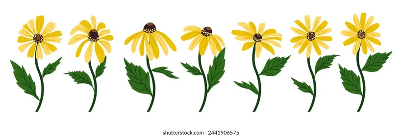 Black-eyed Susan flower background.Eps 10 vector.