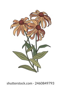 Flores de Susan de ojos negros con hojas contorno de color dibujo ilustración botánica de Vector aislado sobre fondo blanco. Diseño de la flor de Rudbeckia para el logotipo, tatuaje, arte de la pared, marca, embalaje.