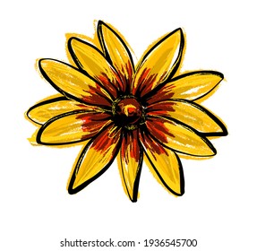 Black-eyed Susan Rudbeckia Hirta flower. Illustration of a freehand sketch.