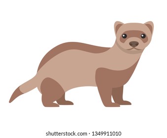 Black-footed ferret. Isolated vector illustration