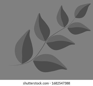 Black-gray branch on a gray background.