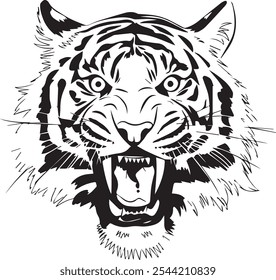 Blackn  And White Tiger Vector