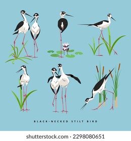 schwarz-halsig-Stilt-Vogel-Vektorgrafik einzeln auf blauem Hintergrund