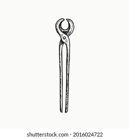 Blacksmith tongs for forging, gravure style hand drawn vector outline illustration