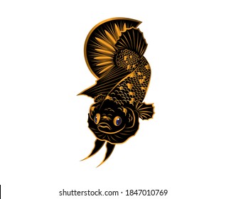 Blackstar gold betta fish vector on white background with for logo