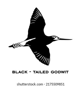 Black-tailed godwit concept logo isolated on white background. Black-tailed godwit sign. Minimalistic bird icons vector illustration