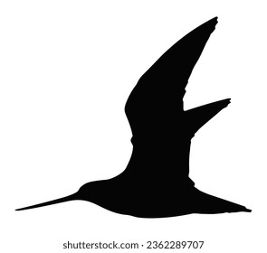 Black-tailed godwit concept logo isolated on white background.