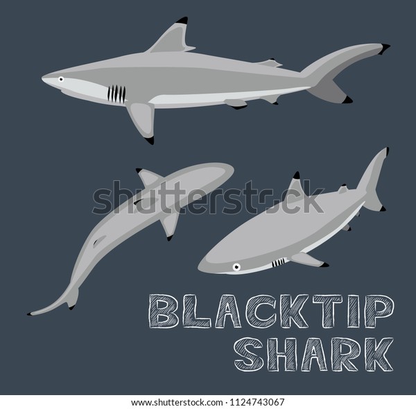 Blacktip Shark Cartoon\
Vector Illustration