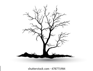 Black-tree, Branch Silhouette  over white background,