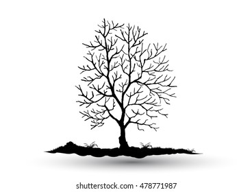 Black-tree, Branch Silhouette  over white background,