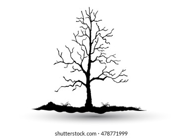 Black-tree, Branch Silhouette  over white background,