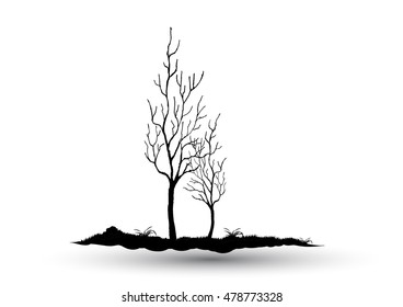 Black-tree, Branch Silhouette  over white background,