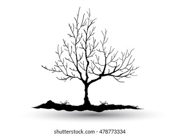 Black-tree, Branch Silhouette  over white background,