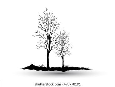 Black-tree, Branch Silhouette  over white background,