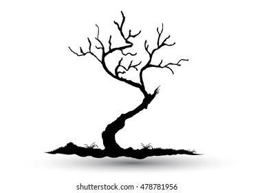 Black-tree, Branch Silhouette  over white background,