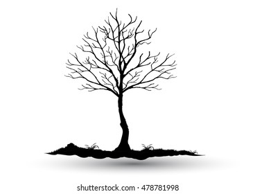 Black-tree, Branch Silhouette  over white background,