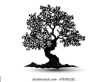 Black-tree, Branch Silhouette  over white background,